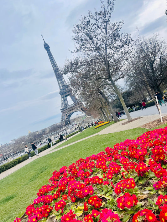 Recent Paris Hotels Stays (3, 4 and 5 Star)